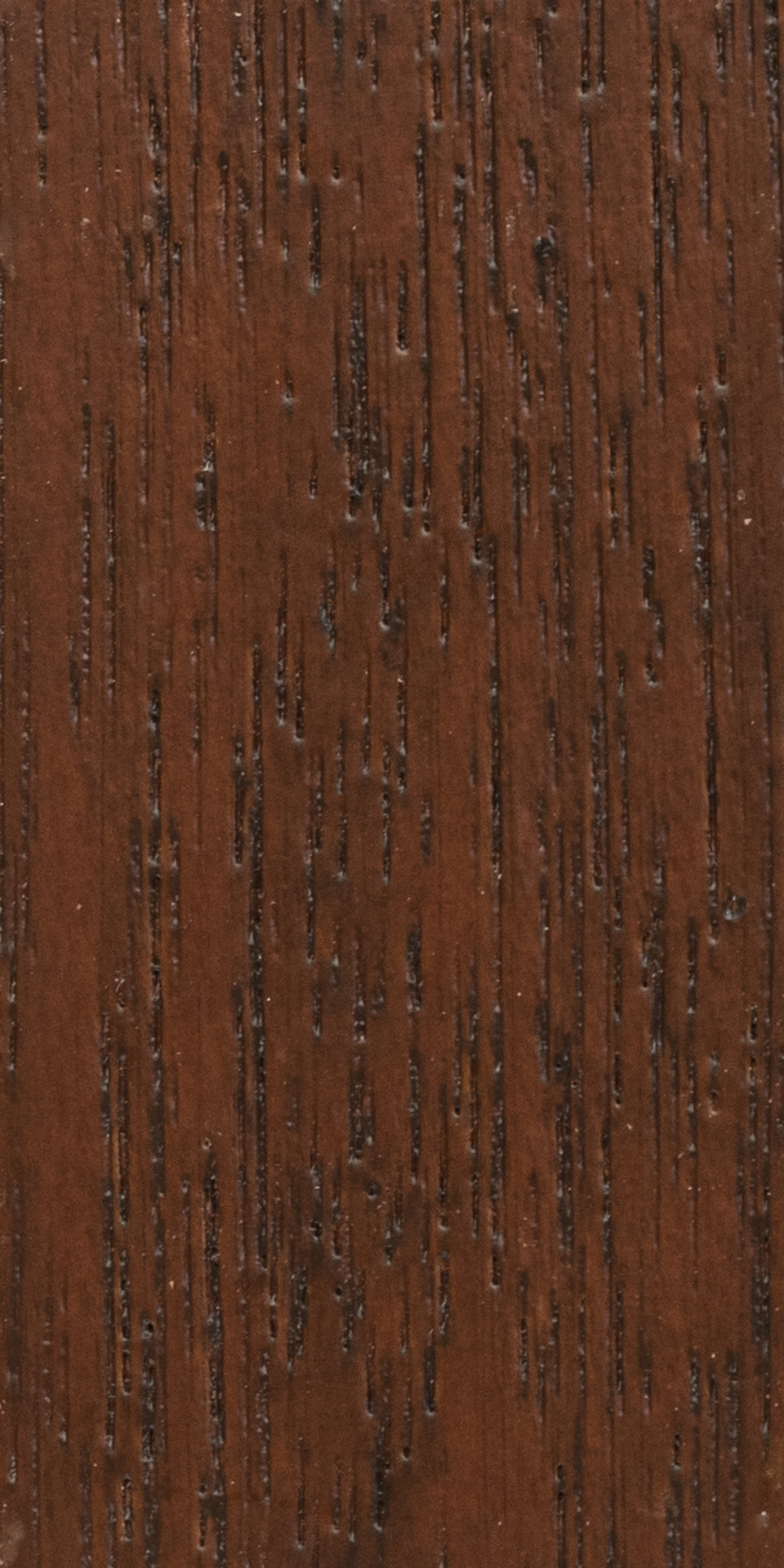 Teak