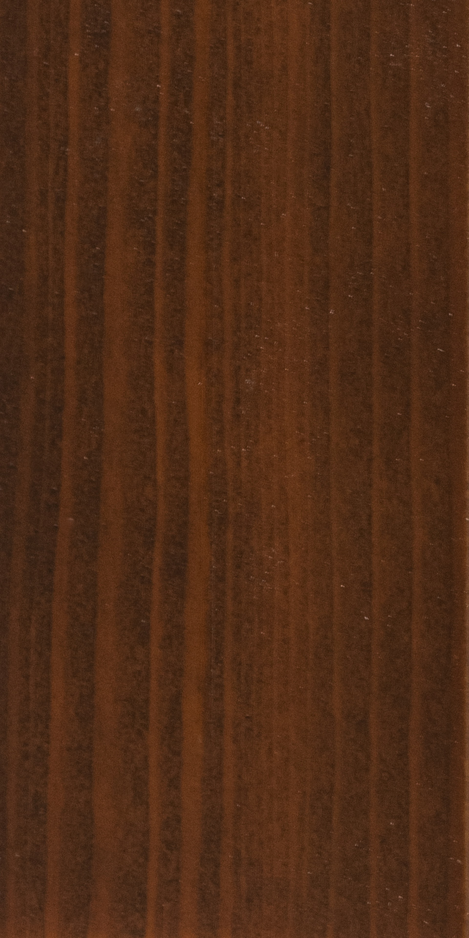 Teak