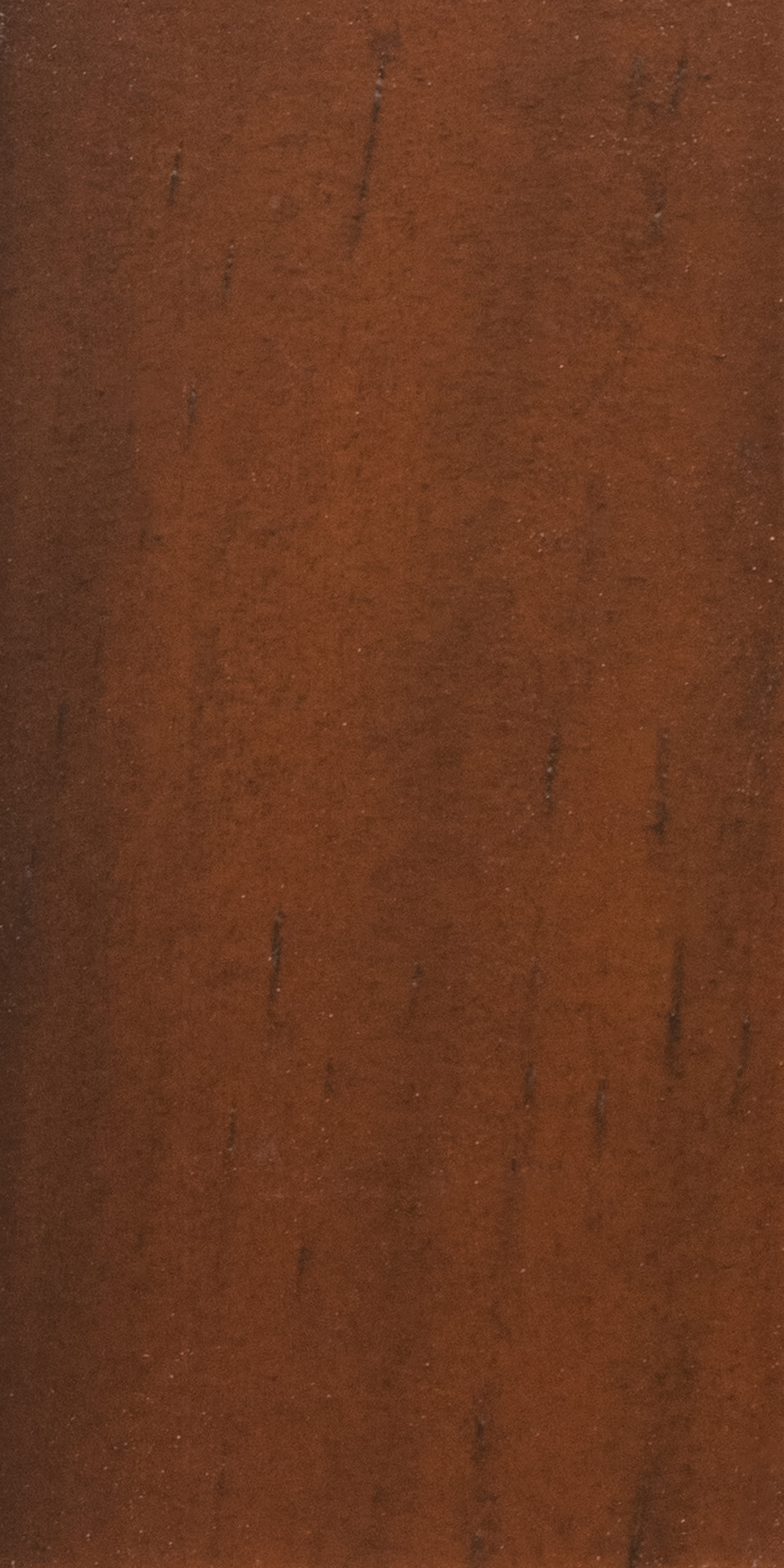 Teak